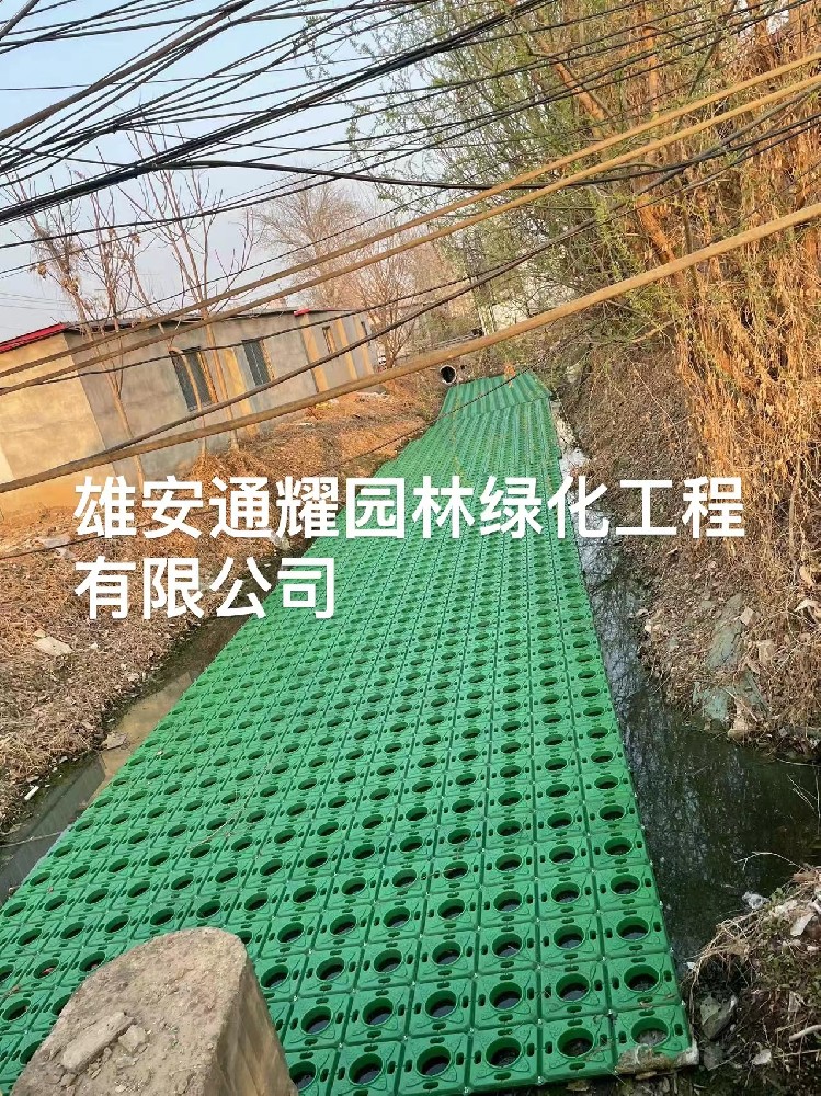 沧州市新农村环境治理工程